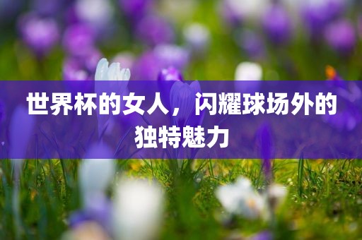 世界杯的女人，闪耀球场外的独特魅力沧州禾苗留学中介服务有限公司