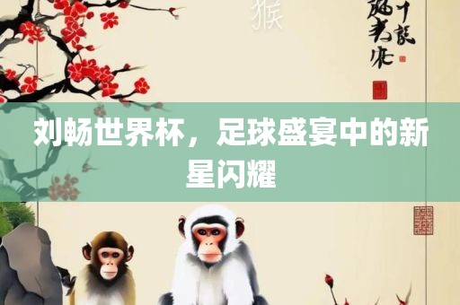 刘畅世界杯，足球盛宴中的新沧州禾苗留学中介服务有限公司星闪耀
