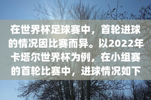 在世界杯足球赛中，首轮进球的情况因比赛而异。以2022年卡塔尔世界杯为例，在小组赛的首轮比赛中，进球情况如下