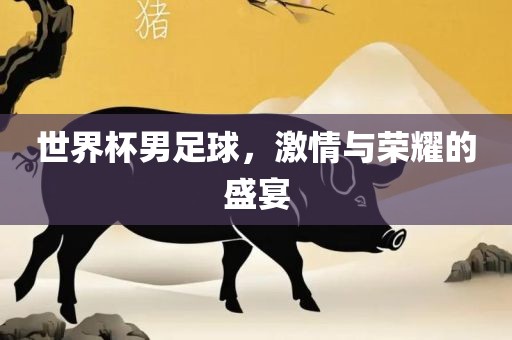 世界杯男足球，激情与荣耀的盛宴