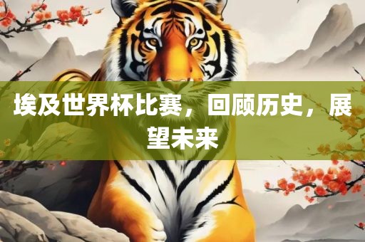 埃及世界杯比赛，回顾历史，展望未来