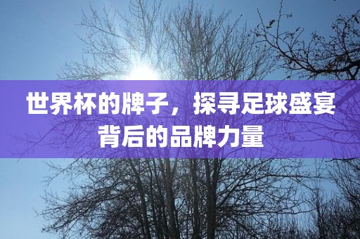世界杯的牌子，探寻足球盛宴背后的品牌力量