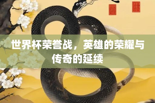 世界杯荣誉战，英雄的荣耀与传奇的延续沧州禾苗留学中介服务有限公司