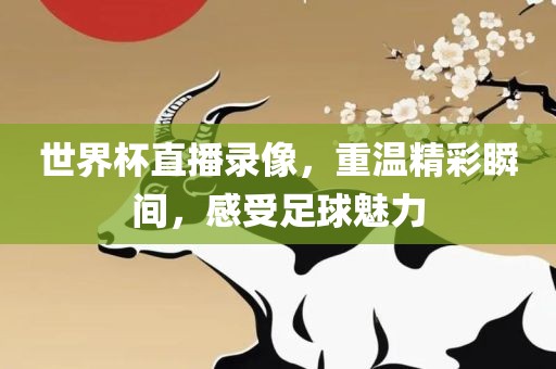 世界杯直播录像，重温精彩瞬间，感受足球魅力