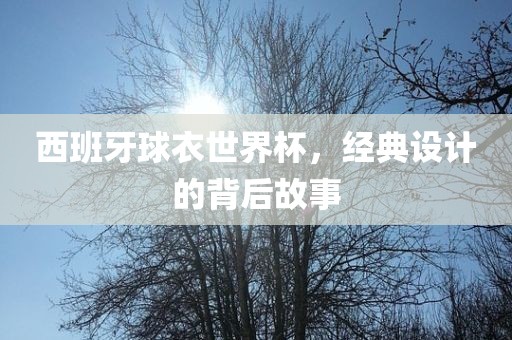 西班牙球衣世界杯，经典设计的背后故事
