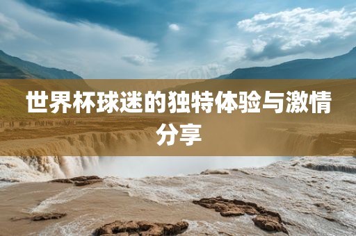 世界杯球迷的独特体验与激情分享
