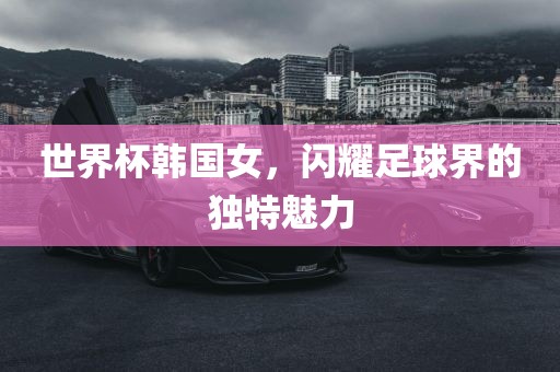 世界杯韩国女，闪耀足球界的独特魅力