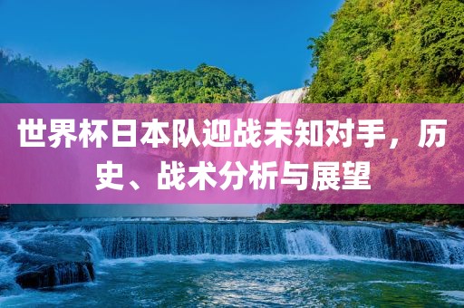 世界杯日本队迎战未知对手，历史、战术分析与展望