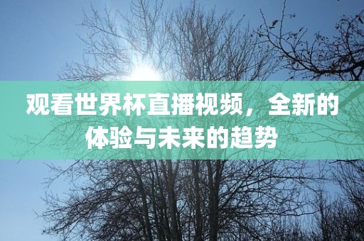 观看世界杯直播视频，全新的体验与未来的趋势