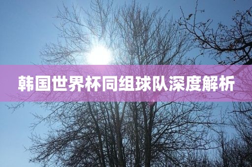 韩国世界杯同组球队深度解析