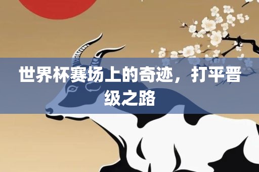 世界杯赛场上的奇迹，打平晋级之路