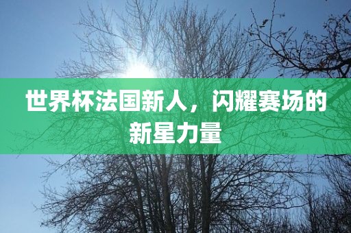 世界杯法国新人，闪耀赛场的新星力量