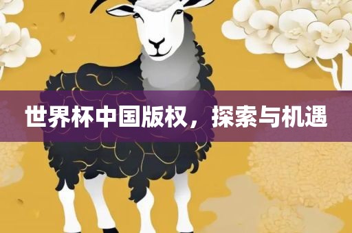 世界杯中国版权，探索与机遇