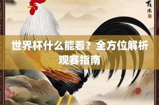 世界杯什么能看？全方位解析观赛指南