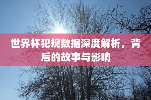 世界杯犯规数据深度解析，背后的故事与影响
