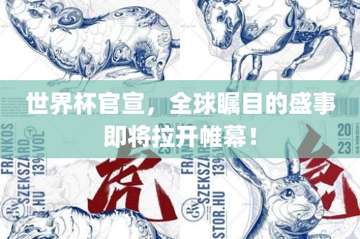 世界杯官宣，全球瞩目的盛事即将拉开帷幕！