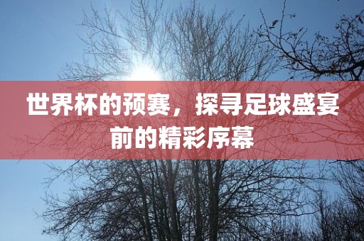 世界杯的预赛，探寻足球盛宴前的精彩序幕