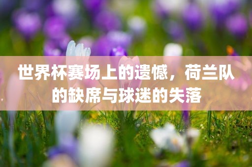世界杯赛场上的遗憾，荷兰队的缺席与球迷的失落