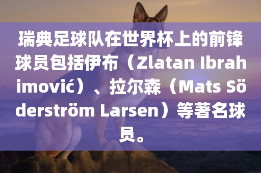 瑞典足球队在世界杯上的前锋球员包括伊布（Zlatan Ibrahimovi?）、拉尔森（Mats S?derstr?m Larsen）等著名球员。