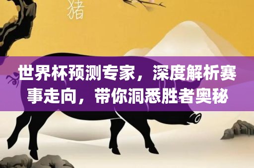 世界杯预测专家，深度解析赛事走向，带你洞悉胜者奥秘