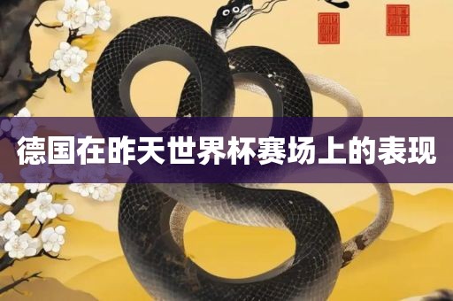 德国在昨天世界杯赛场上的表现