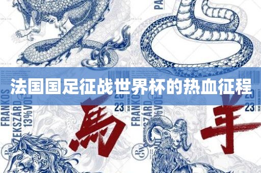 法国国足征战世界杯的热血征程