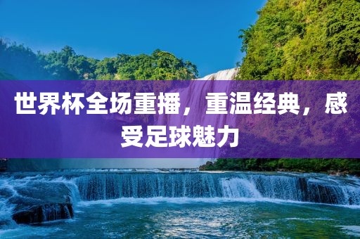 世界杯全场重播，重温经典，感受足球魅力