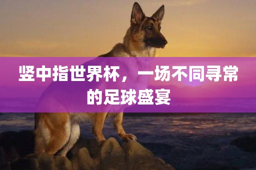 竖中指世界杯，一场不同寻常的足球盛宴