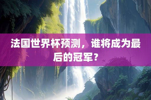 法国世界杯预测，谁将成为最后的冠军？
