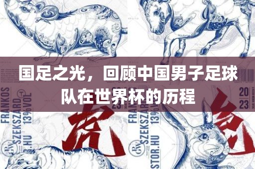 国足之光，回顾中国男子足球队在世界杯的历程
