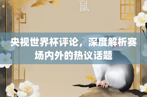 央视世界杯评论，深度解析赛场内外的热议话题