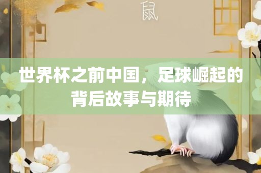 世界杯之前中国，足球崛起的背后故事与期待