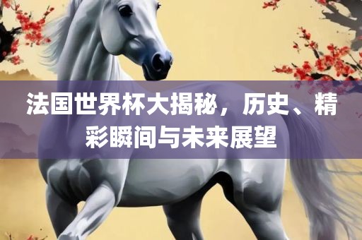 法国世界杯大揭秘，历史、精彩瞬间与未来展望
