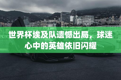 世界杯埃及队遗憾出局，球迷心中的英雄依旧闪耀