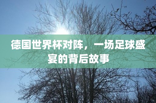 德国世界杯对阵，一场足球盛宴的背后故事