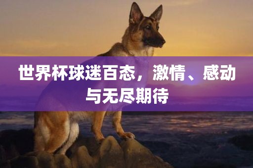 世界杯球迷百态，激情、感动与无尽期待